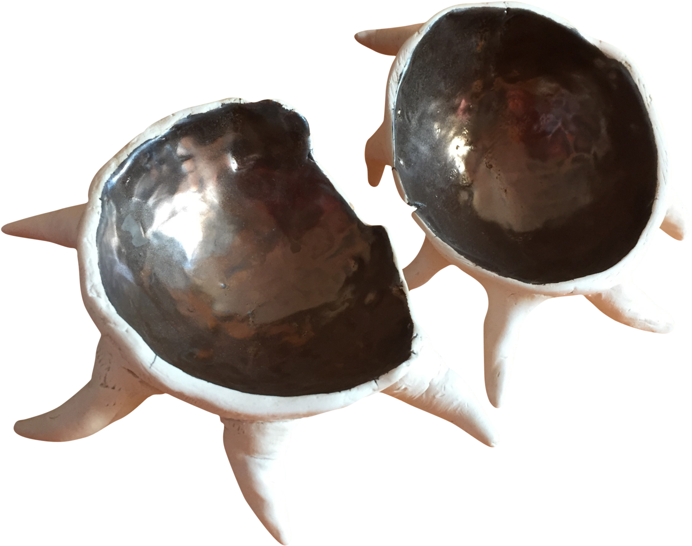 Sea Urchin In Two - Sea Urchin (1536x2048), Png Download