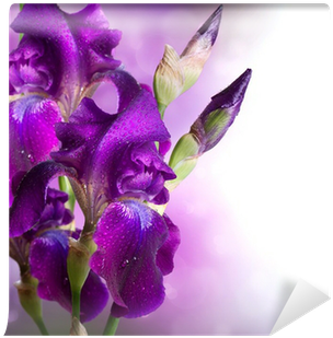 Iris Flowers Art Design - Proverb For Flower (400x400), Png Download
