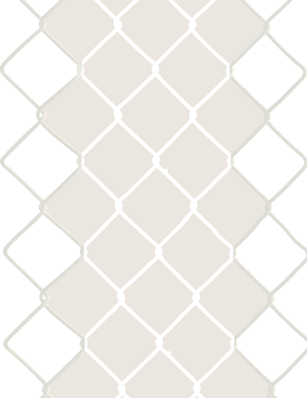 Fence Transparency - São Paulo Zoo (1020x1320), Png Download
