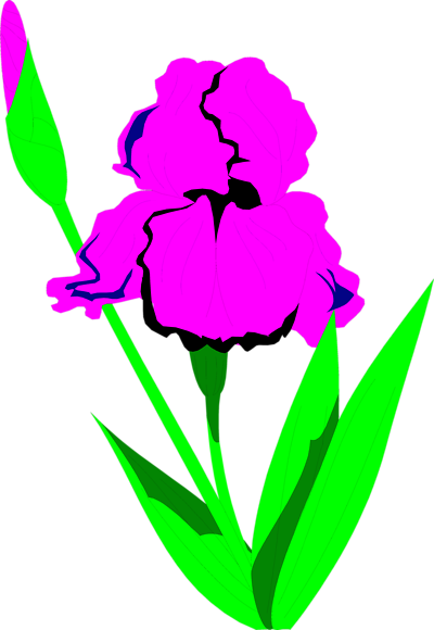 Png Library Stock Clip Art Free Panda Images - Clip Art (400x580), Png Download