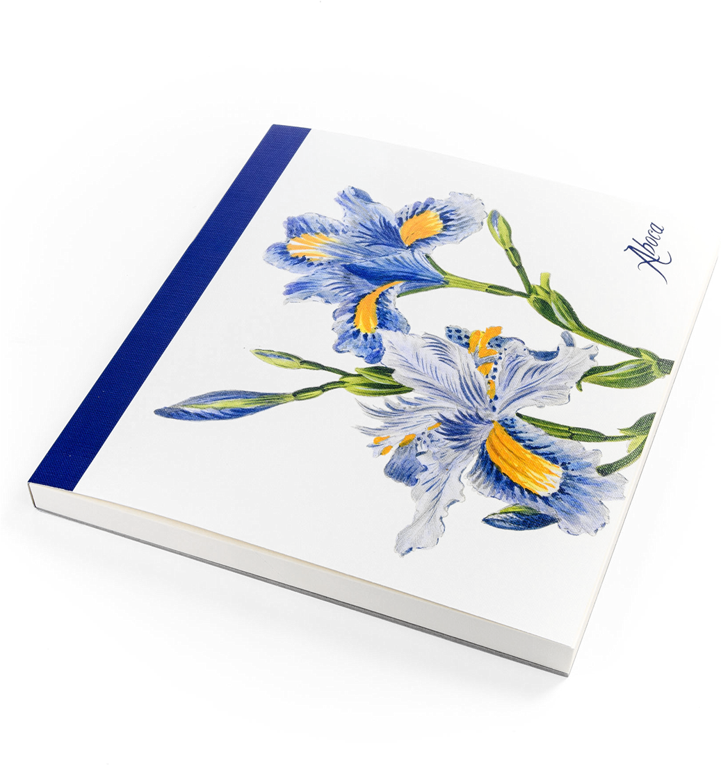 Picture Of Flower Desk Iris - Flower (1280x1280), Png Download