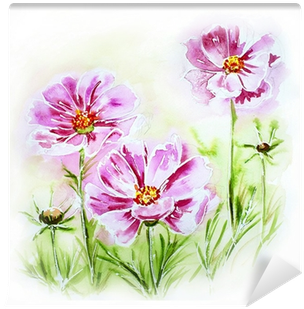 Painted Watercolor Card With Cosmos Flowers Wall Mural - Evsimo Dekoratif Yastık 40x40 Cm - (452-13085) (400x400), Png Download
