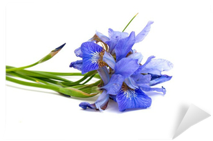 Stock Photography (400x400), Png Download