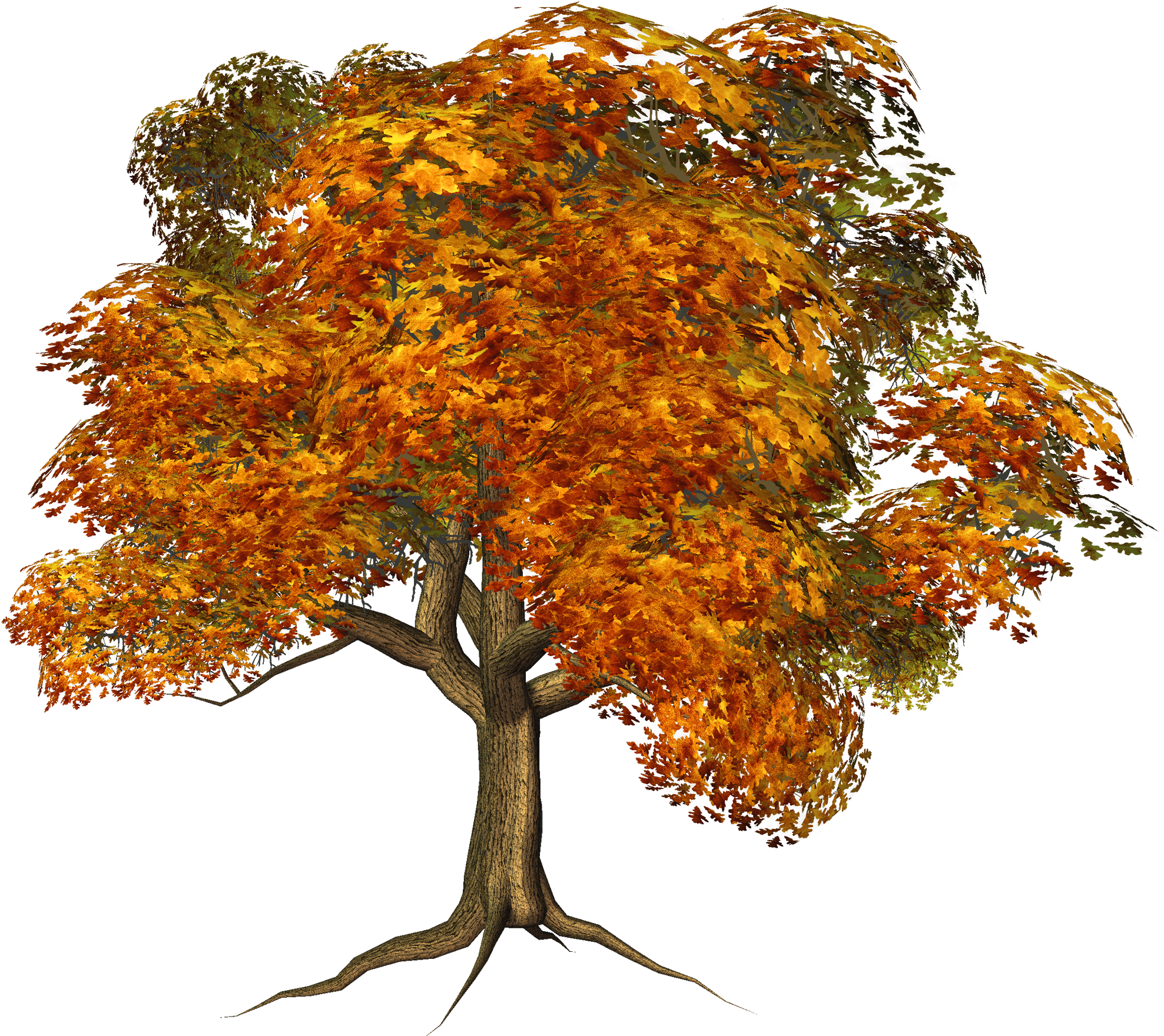 Fall Trees No Background (2000x1776), Png Download