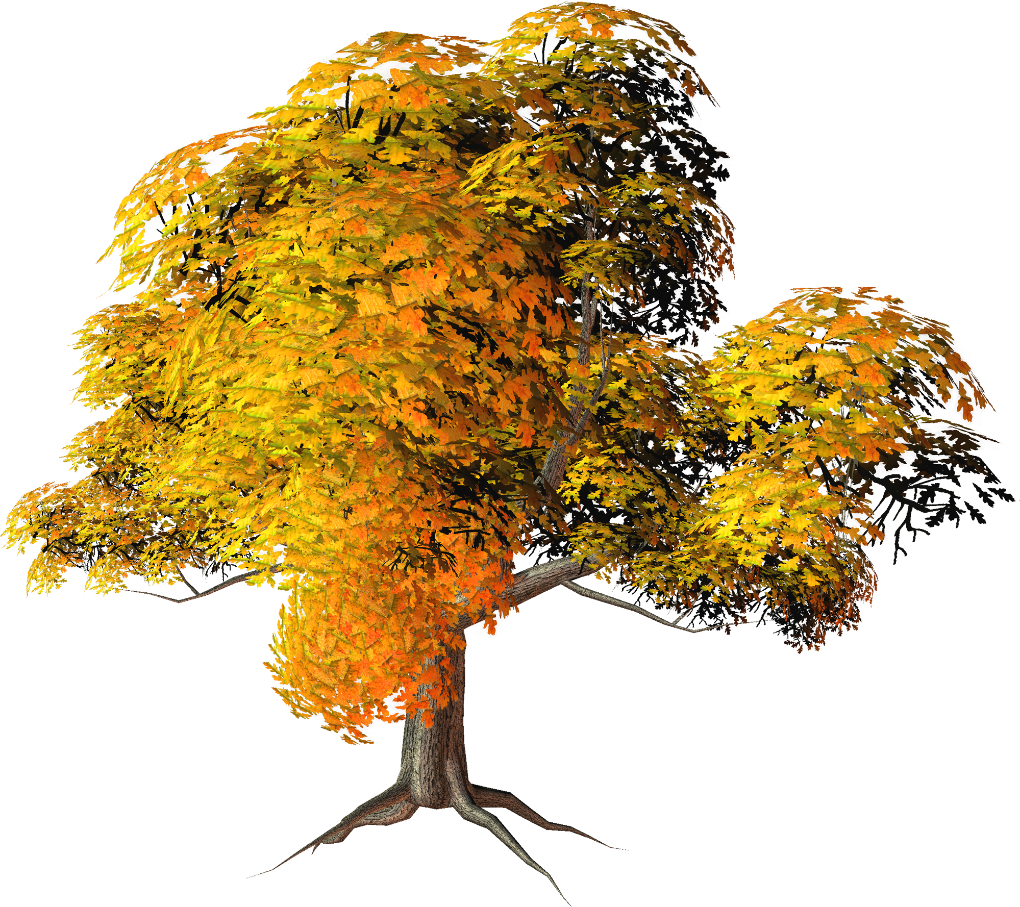 Fall Tree Png Clipart, Is Available For Free Download - Transparent Fall Tree (2000x1787), Png Download