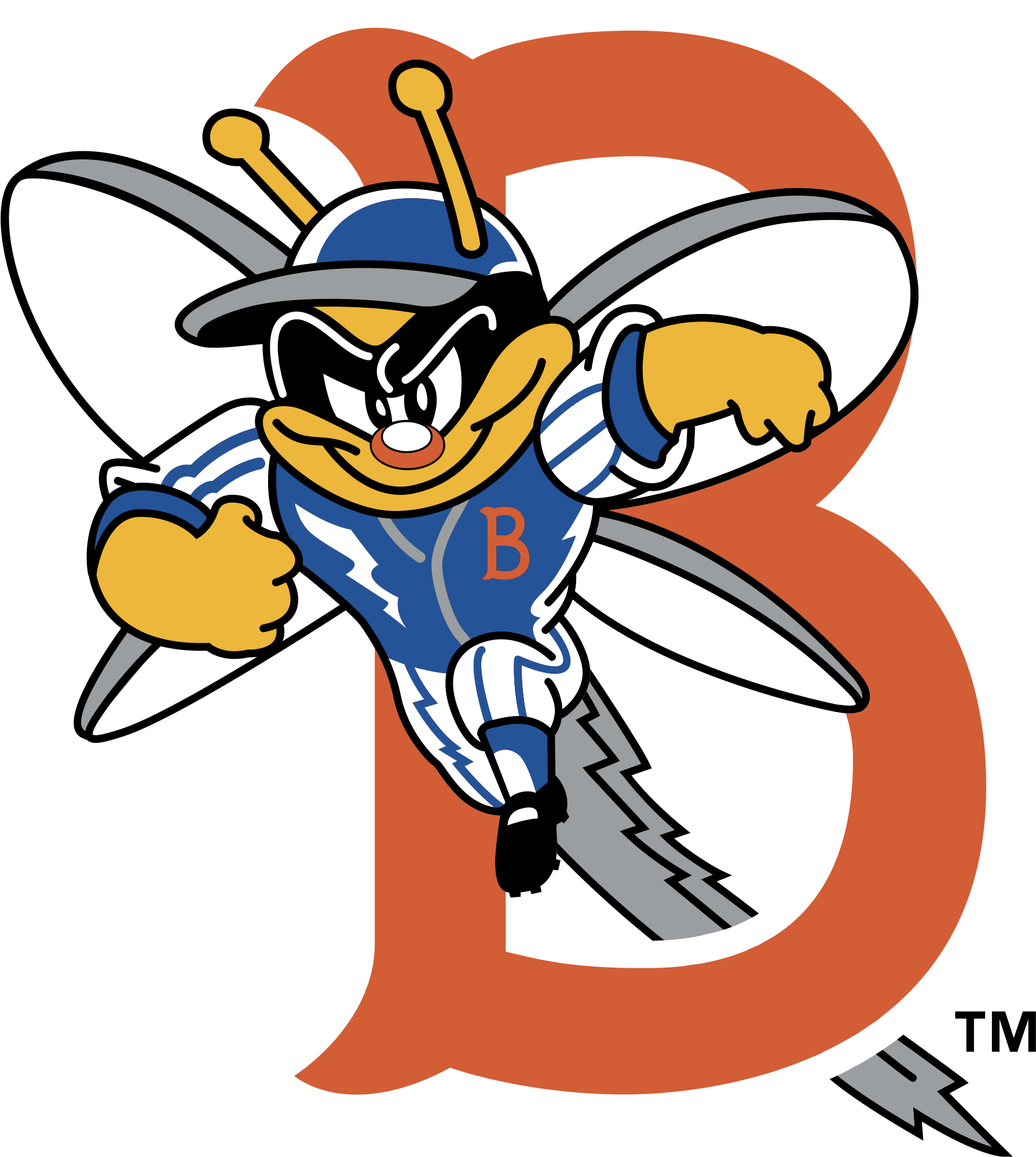 Binghamton Mets Logo Png Transparent - Binghamton Mets (2400x2400), Png Download