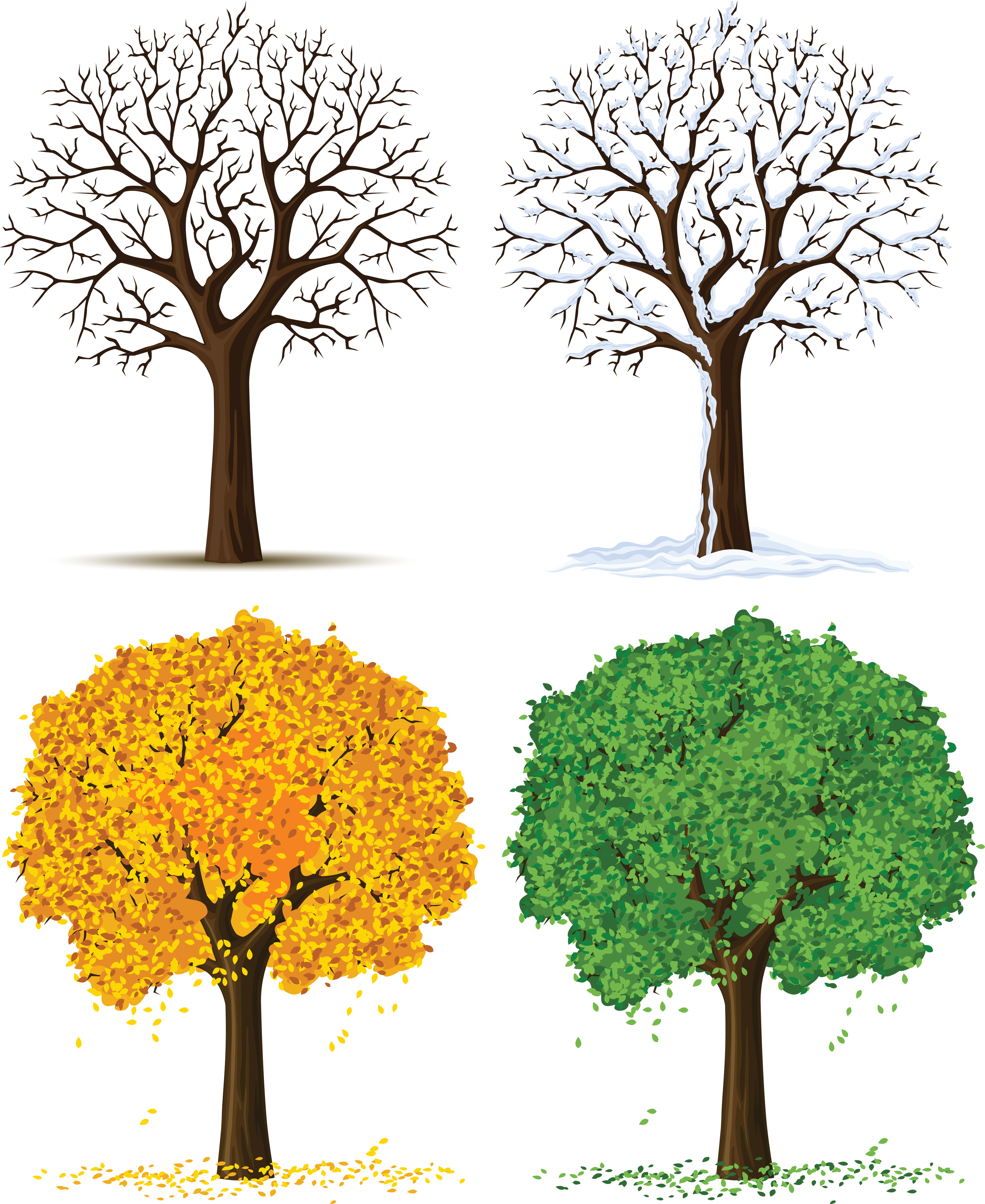 Banner Transparent Fall Clipart Images - Four Seasons Tree Clipart (4000x4890), Png Download
