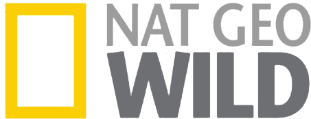 Recent Logos - Nat Geo Wild Канал (530x250), Png Download