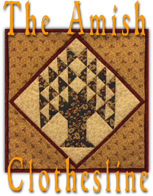 The Amish Clothesline - Amish (305x400), Png Download