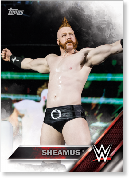 Sheamus - Wwe 2k (700x700), Png Download