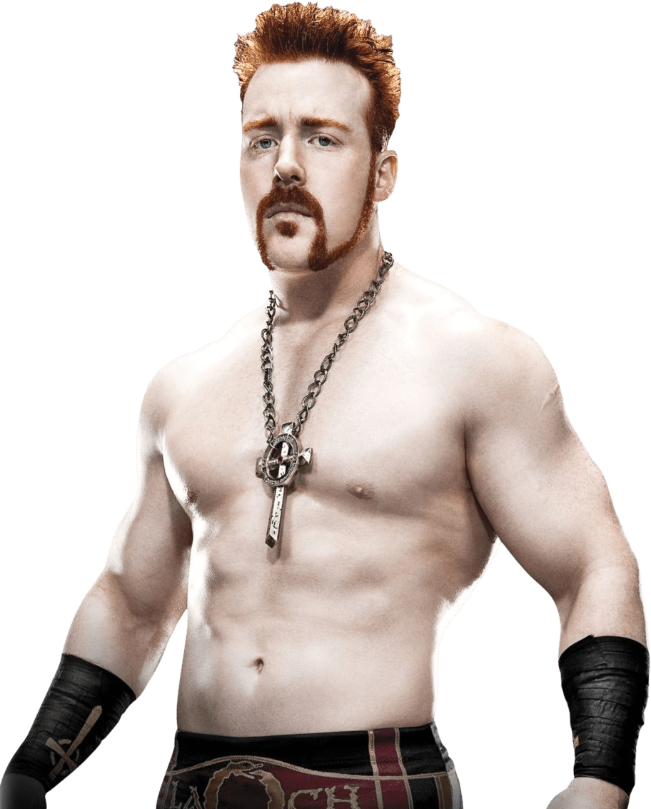 Wwe Sheamus - Wwe Royal Rumble (2012) (912x1133), Png Download