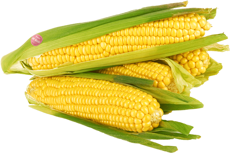 Corn Kernels (800x541), Png Download