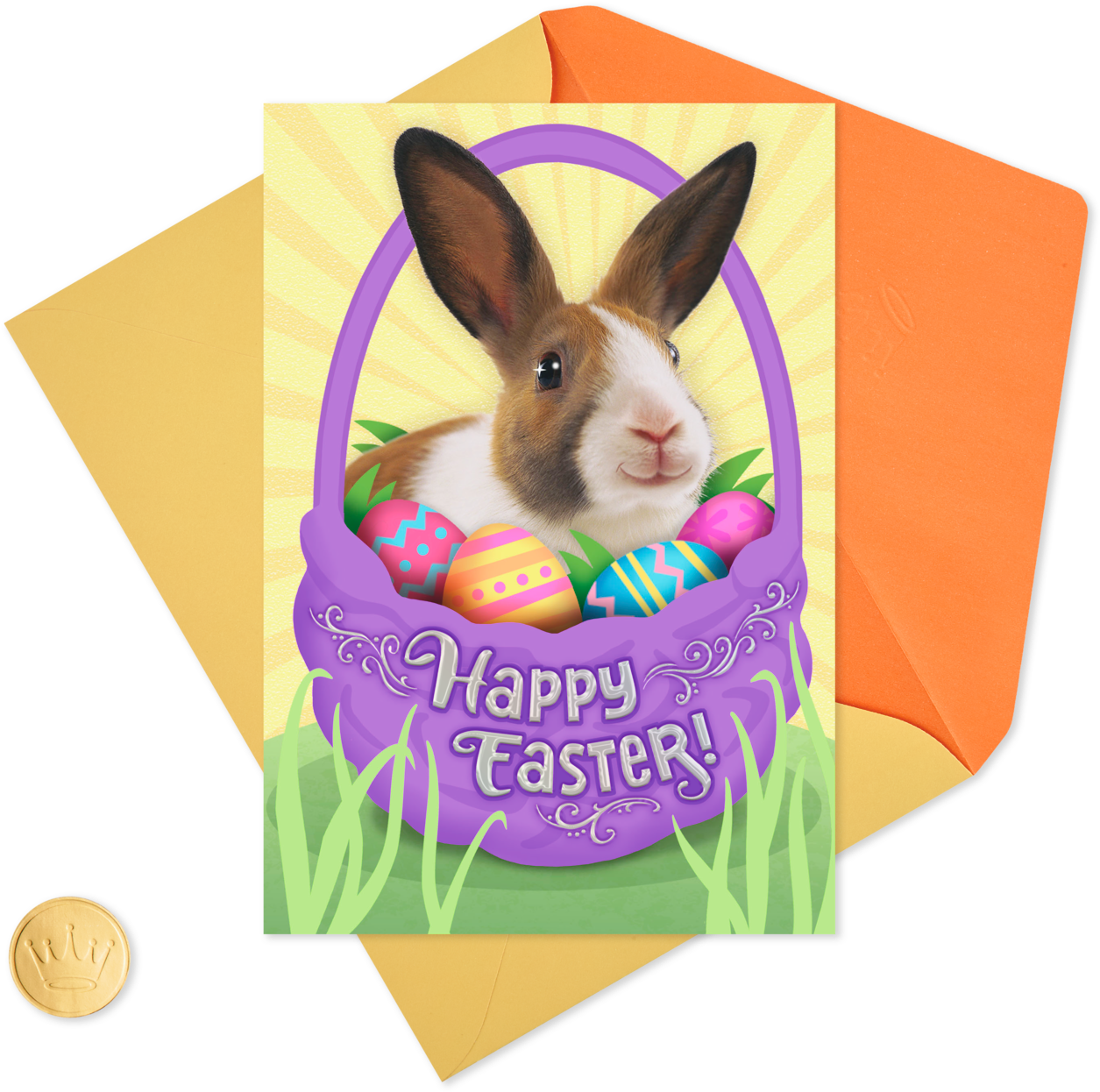 Domestic Rabbit (1470x1470), Png Download