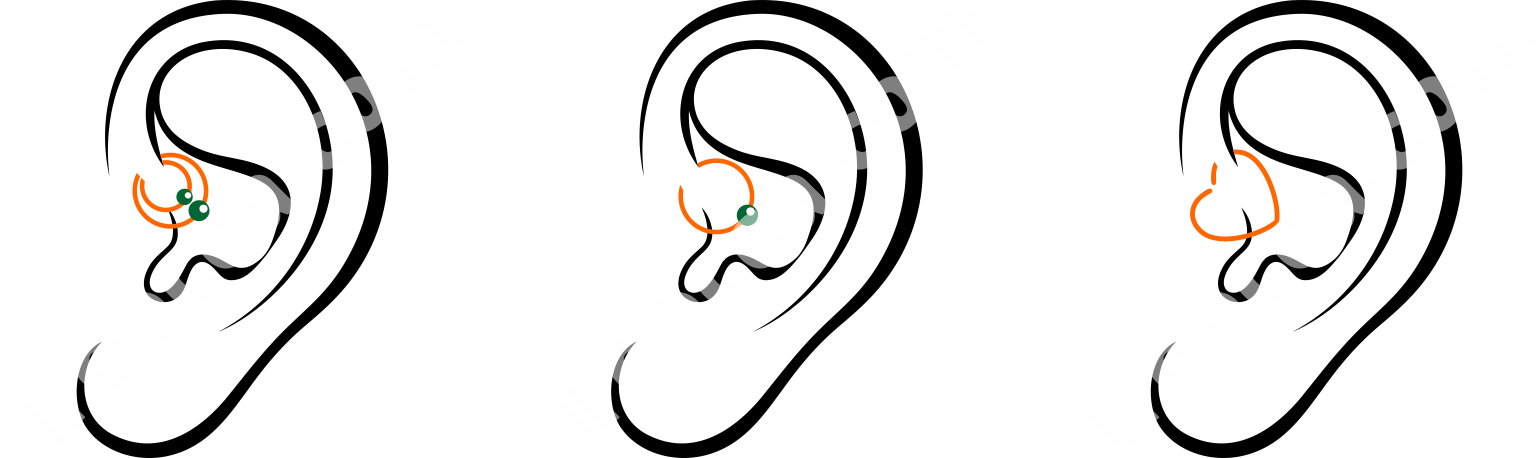 Captive Ball Rings, Segmented Earrings, Micro Banana, (1539x458), Png Download