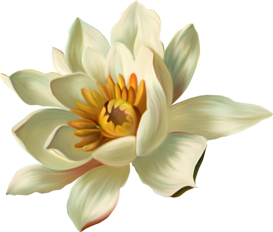 Quoted Lotus Flower (1120x953), Png Download