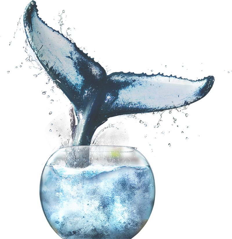 Intelligent Codec - Sketch (800x825), Png Download