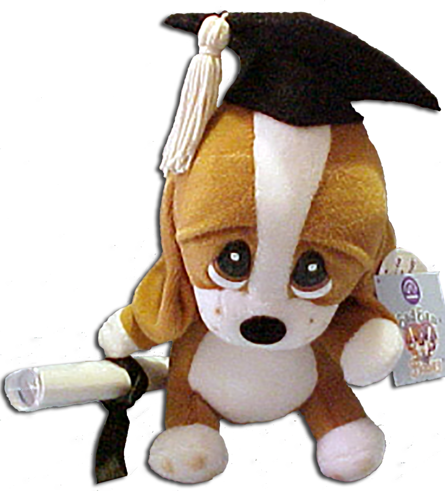 Graduation Plush Sad Sam With Personable Diploma Basset - Stuffed Toy (908x1000), Png Download