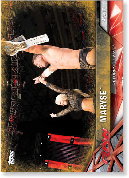 Gallery - Cat Jumps (700x700), Png Download