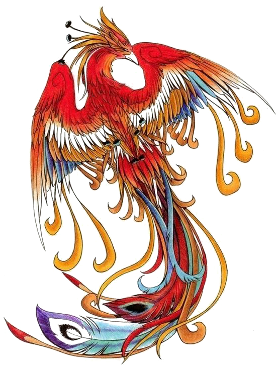 Wind Chinese Simurgh Phoenix Png Free Photo Clipart - Fenghuang Bird (564x731), Png Download