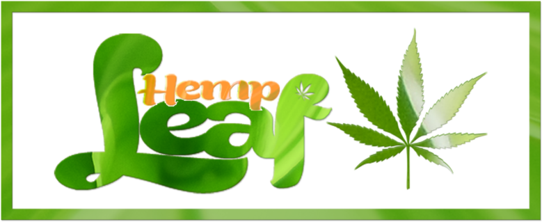 Original Hemp - Illustration (1024x795), Png Download