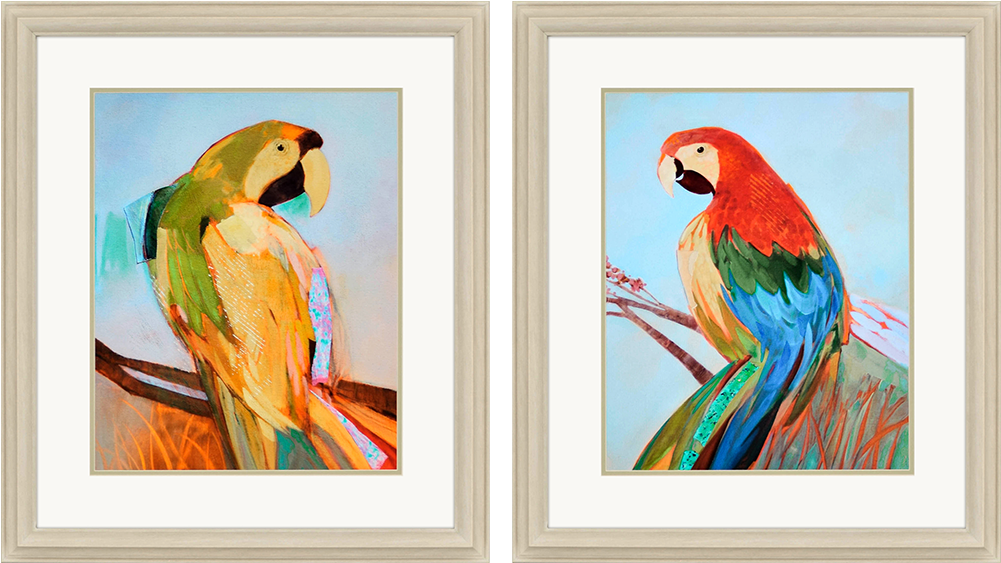 Parrot Wonder Pk/2 - Macaw (1000x1000), Png Download