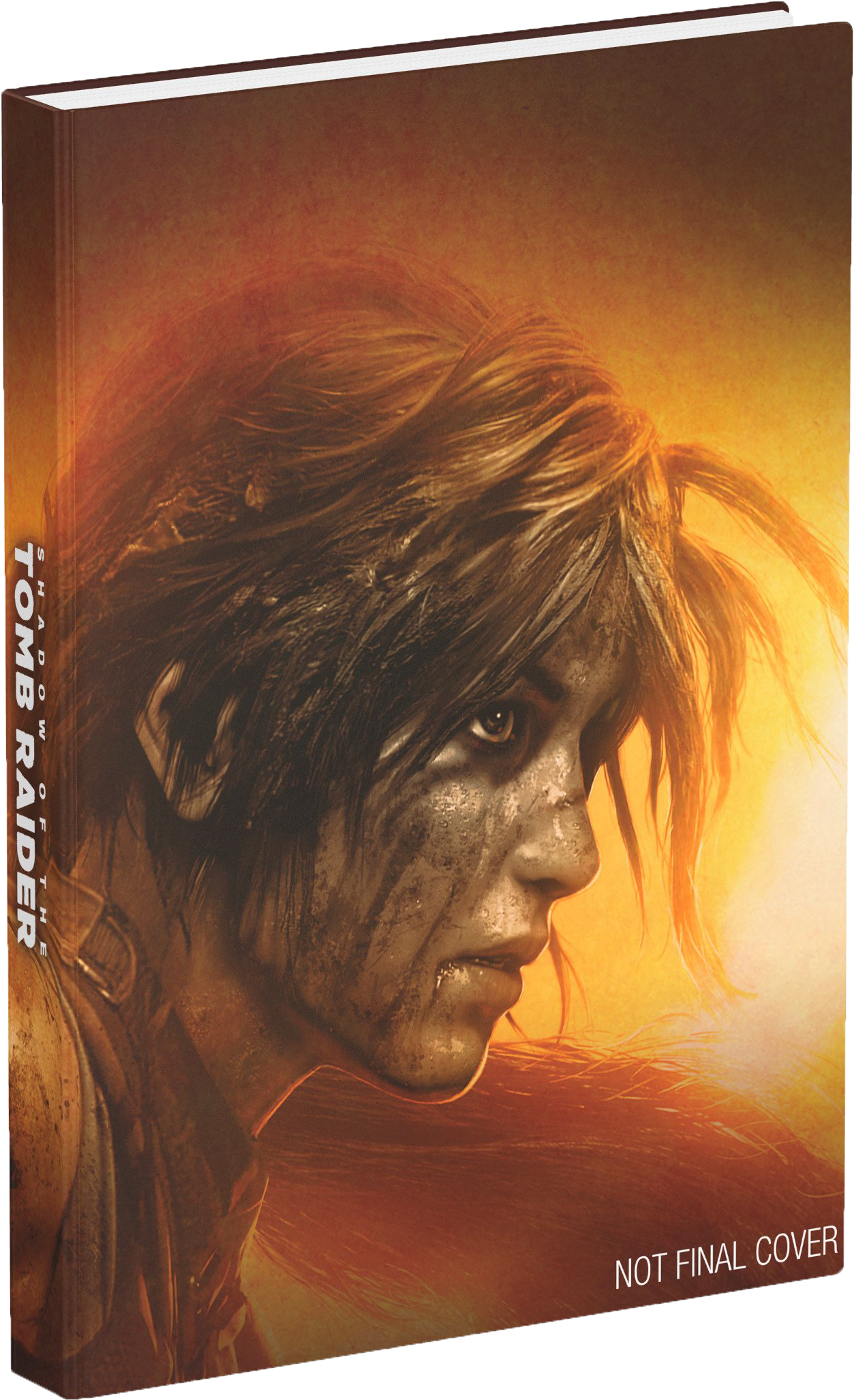 00 - Guide Shadow Of The Tomb Raider (1400x2267), Png Download