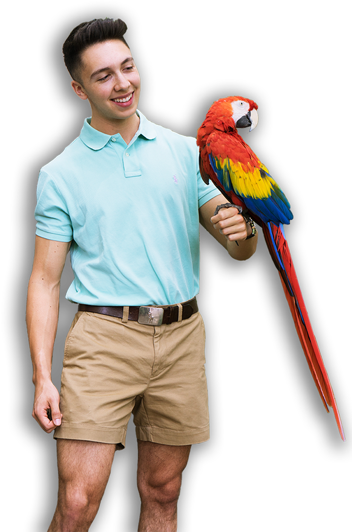 Boy And Parrot (709x1063), Png Download