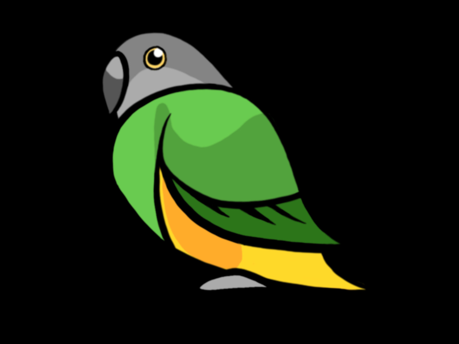 Parakeet (1600x1200), Png Download