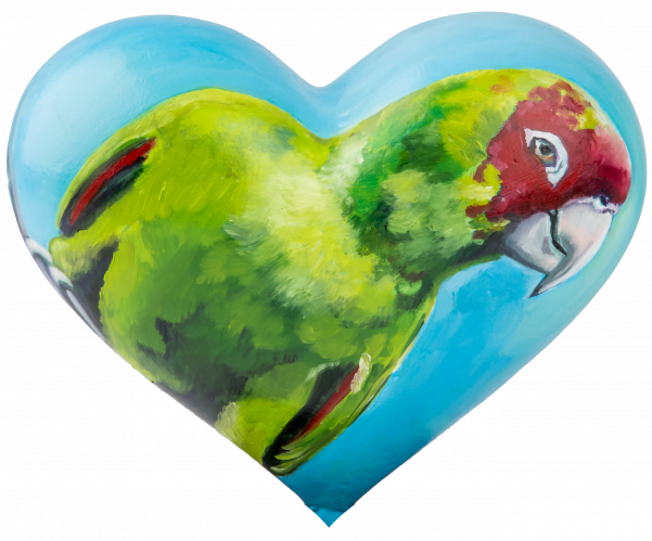 2018 Mini Heart By Barbara Libby-steinmann "san Francisco - Heart In Parrot (600x600), Png Download
