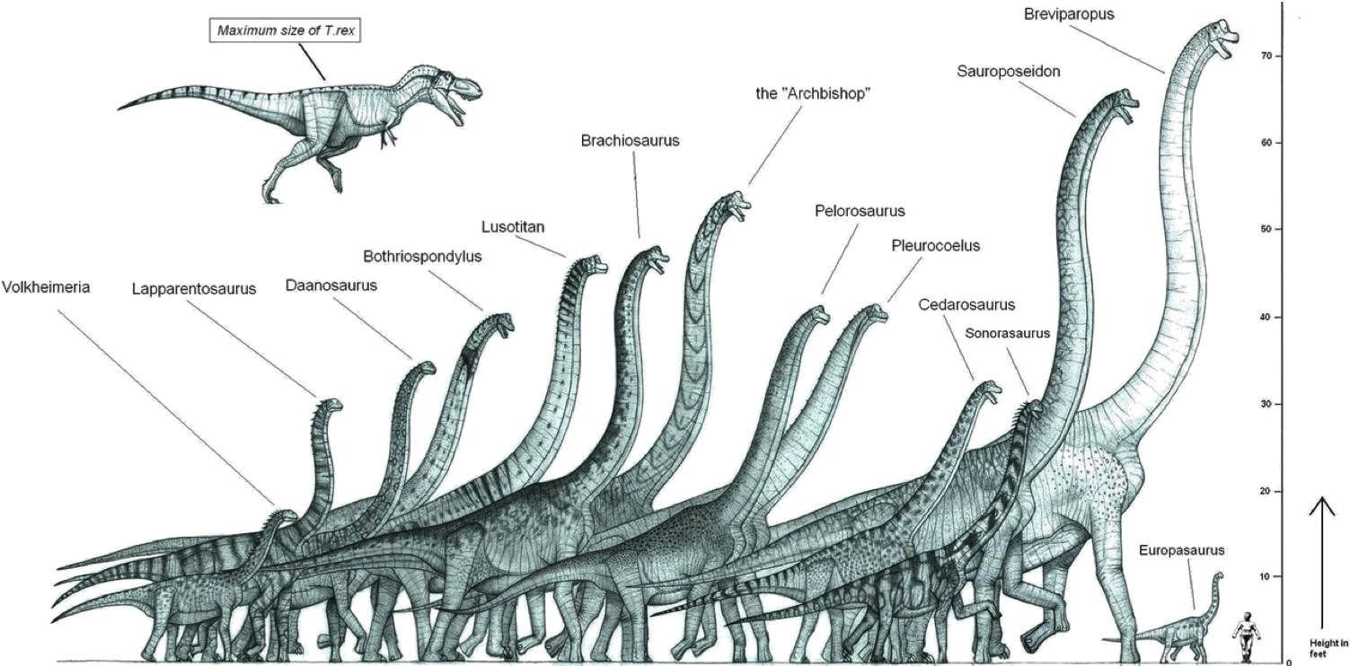 Bill Gates On Twitter - Size Comparison Of Prehistoric Animals (1516x742), Png Download