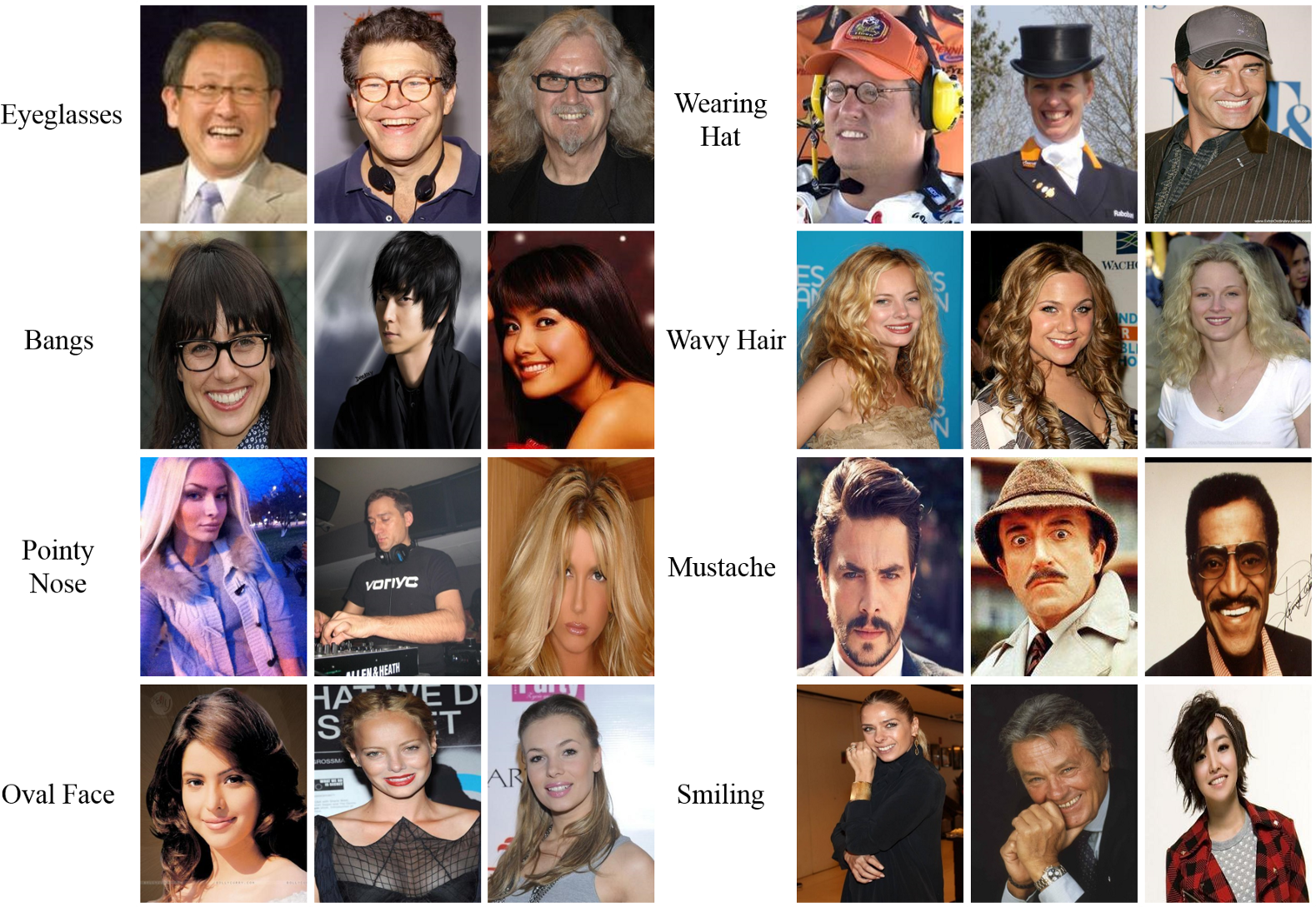 Celeba Dataset (1600x1088), Png Download