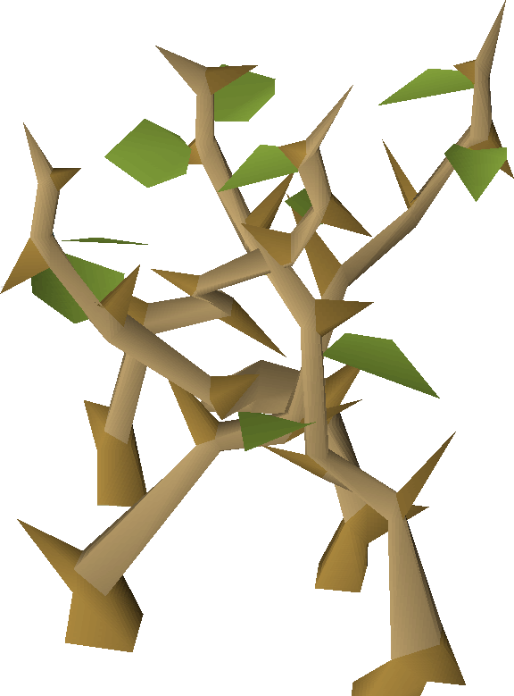 Craft (576x779), Png Download