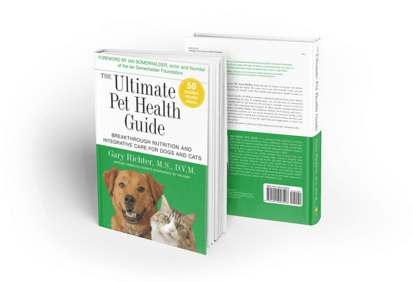 Free Png Download Ultimate Pet Health Guide By Gary - Beagle (850x596), Png Download