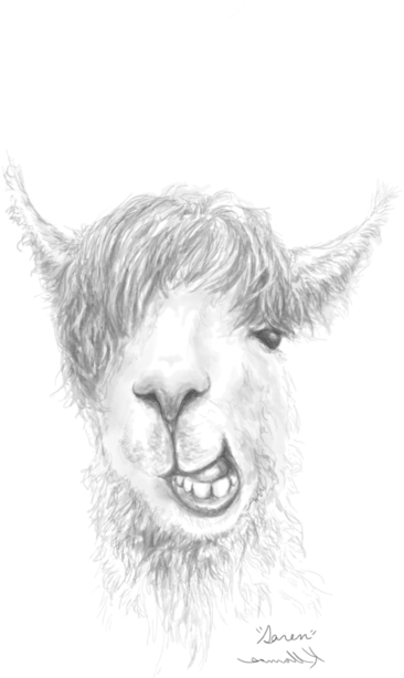 Bleed Area May Not Be Visible - Throw Pillow (525x700), Png Download