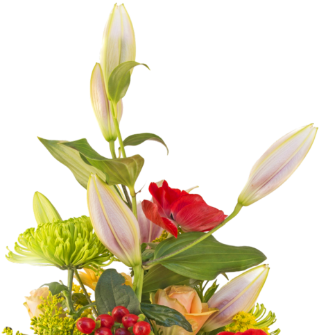 Flower Bouquet Png - Flower Bouquet Images Download (800x500), Png Download