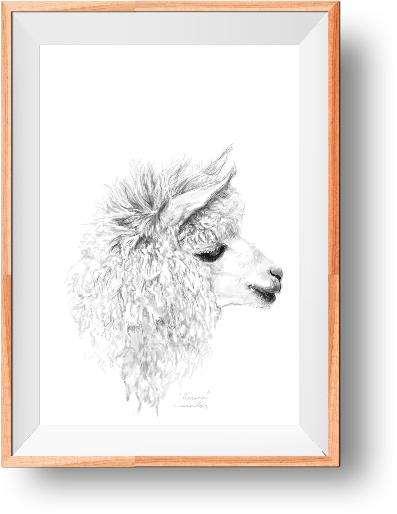 Brown Llama- Art Paper Print Llamas Art Show - Llama (2000x2000), Png Download