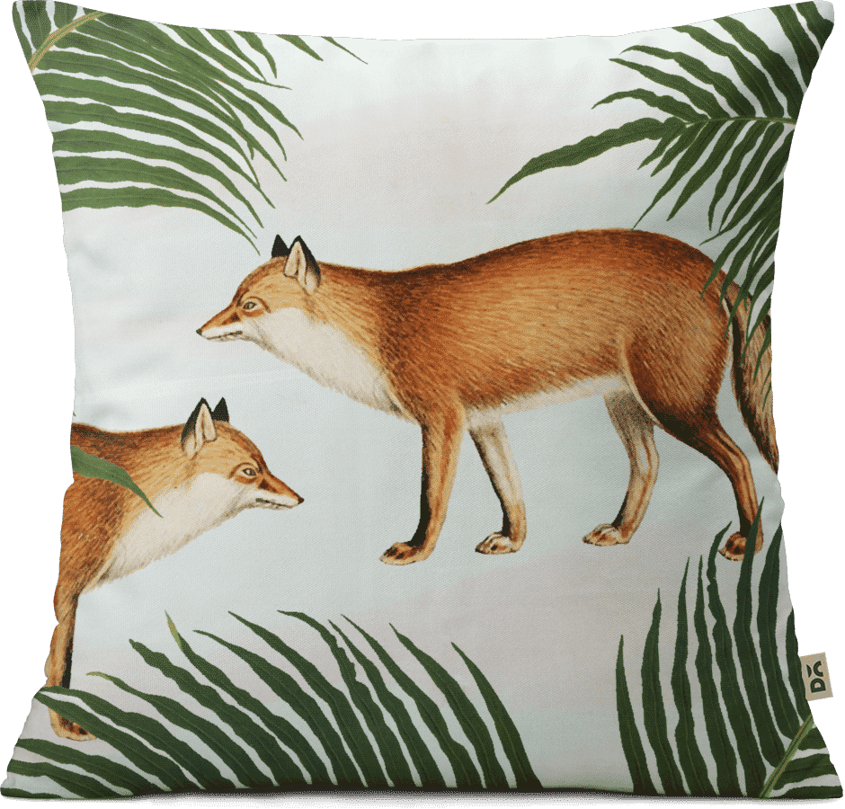 Dailyobjects Red Fox Pair 12" Cushion Cover With Cushion - Fern Leaf (940x900), Png Download