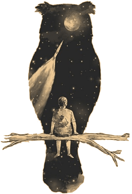 Owl Night Sky Tattoo (500x693), Png Download