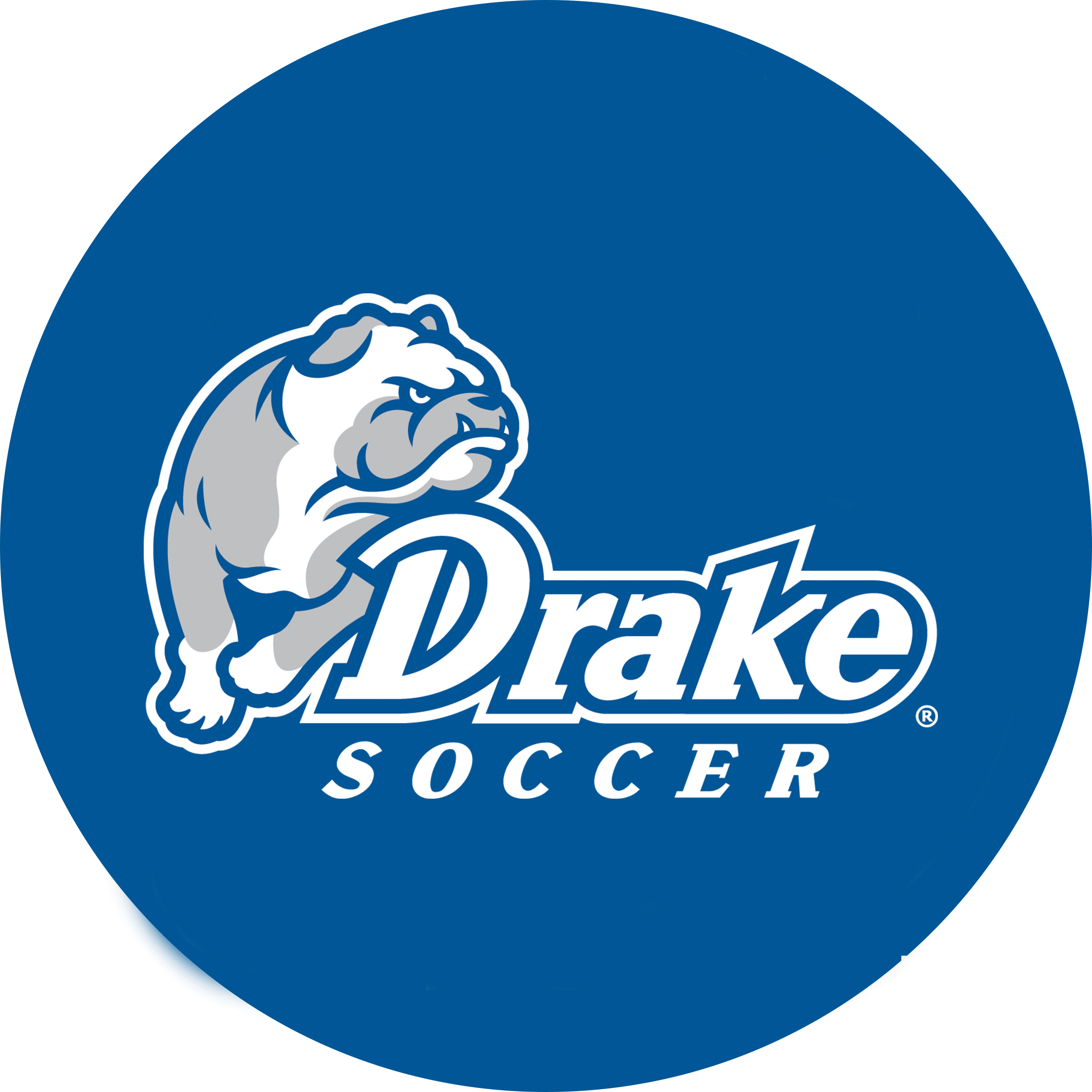 Drake Soccer - Rubber Handball (2409x2409), Png Download