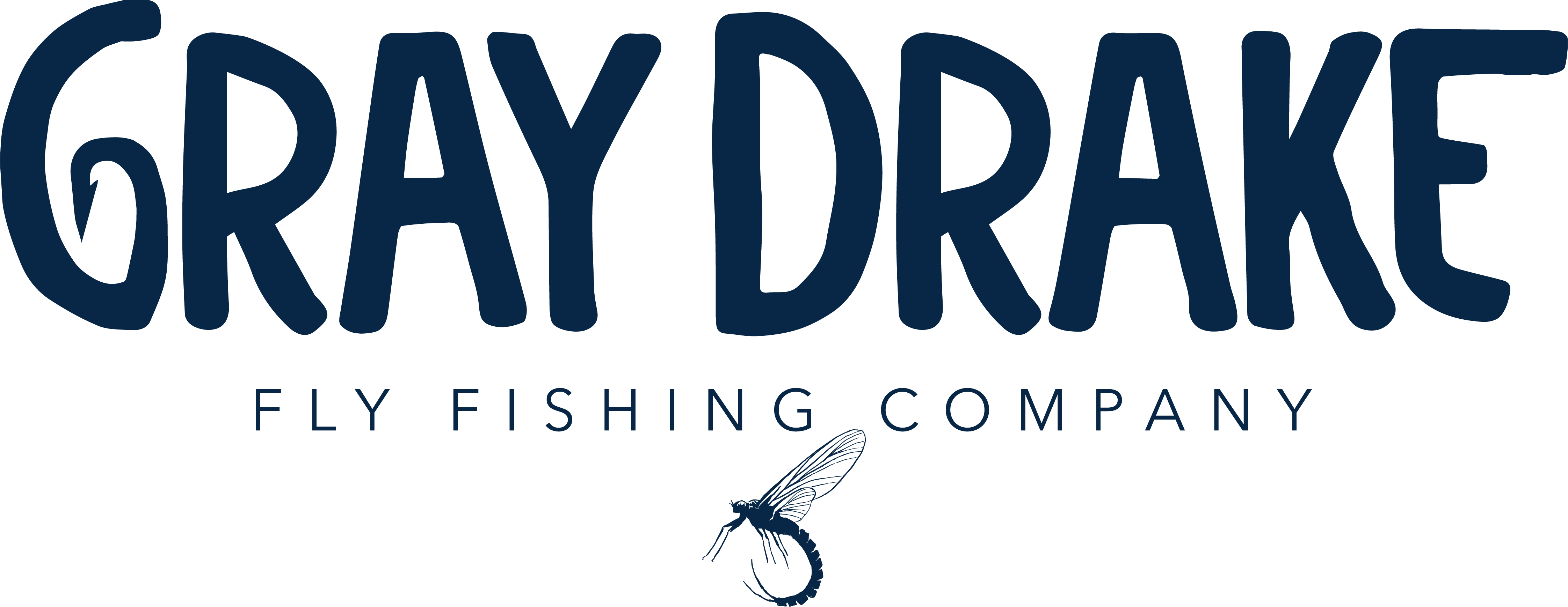 Net-winged Insects (4488x1739), Png Download