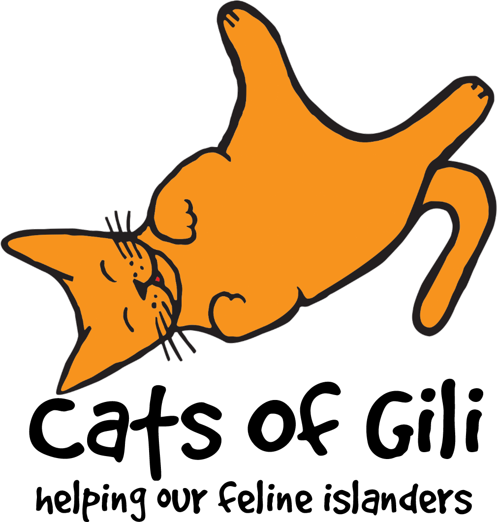 Feline Clipart Orange Cat - Cats Of Gili (1080x1080), Png Download
