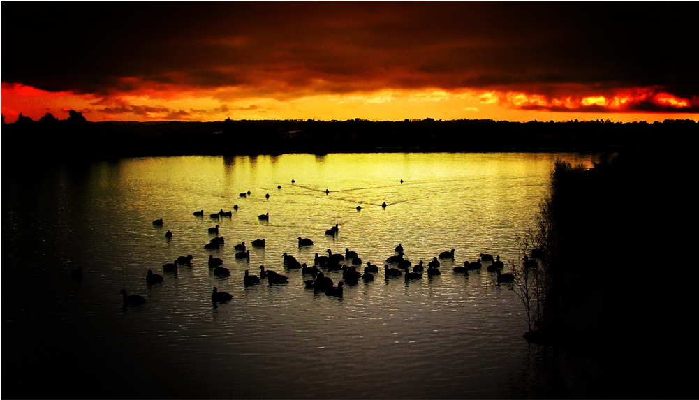 Score 50% - Nature (1000x1000), Png Download