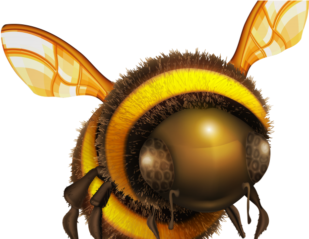 Hornet Clipart Yellow Jacket - Bee Png (640x480), Png Download