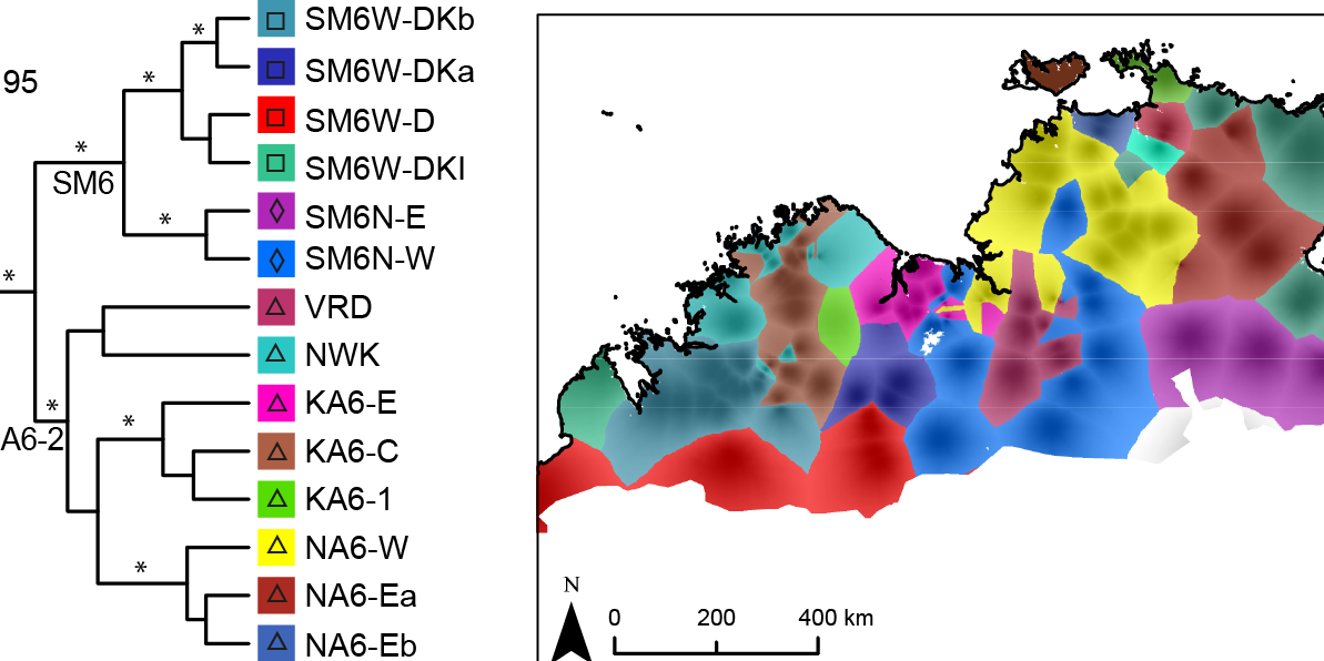 Dan Rosauer - Timor Sea Australia (1193x596), Png Download