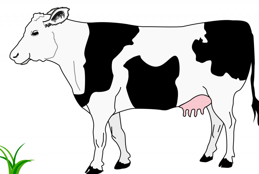 Banner Transparent Stock Top Of In Pictures - Black And White Image Of Cow (1024x688), Png Download
