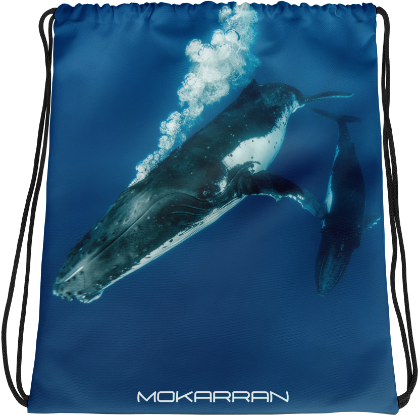 Drawstring (1000x1000), Png Download