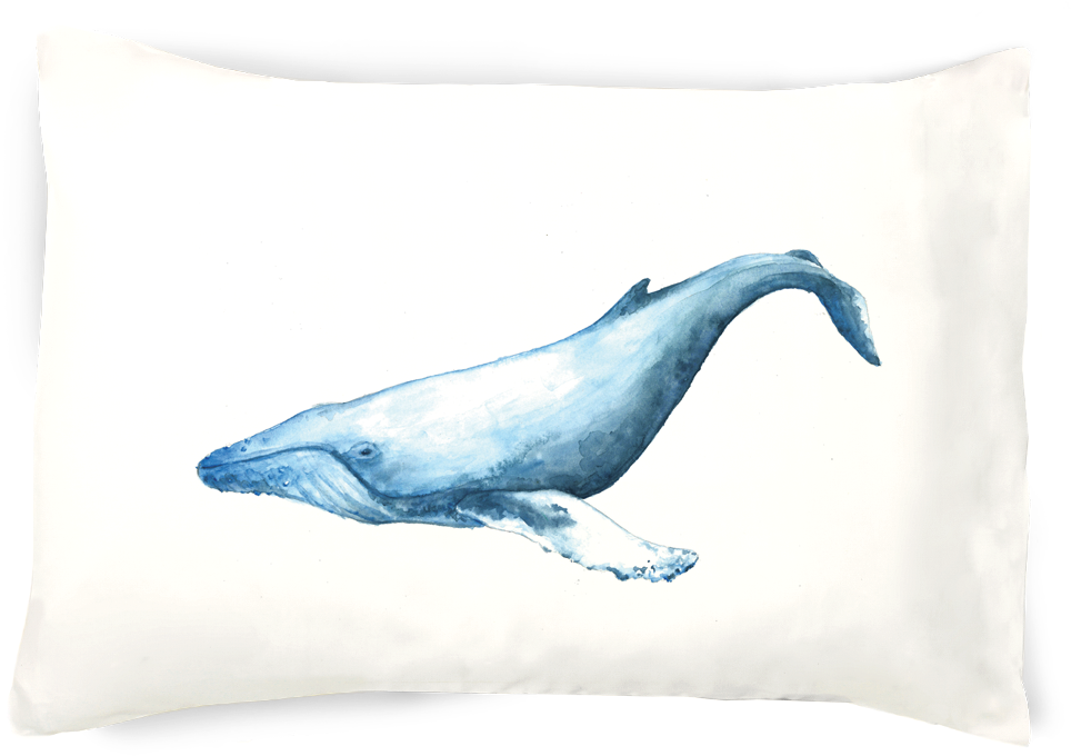 Whale Hello Pillowcase - Cushion (1136x937), Png Download