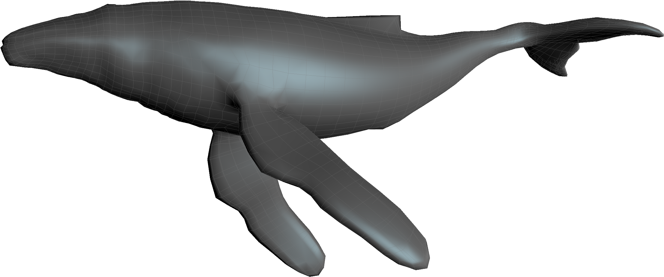 Humpback Whale (2500x1500), Png Download