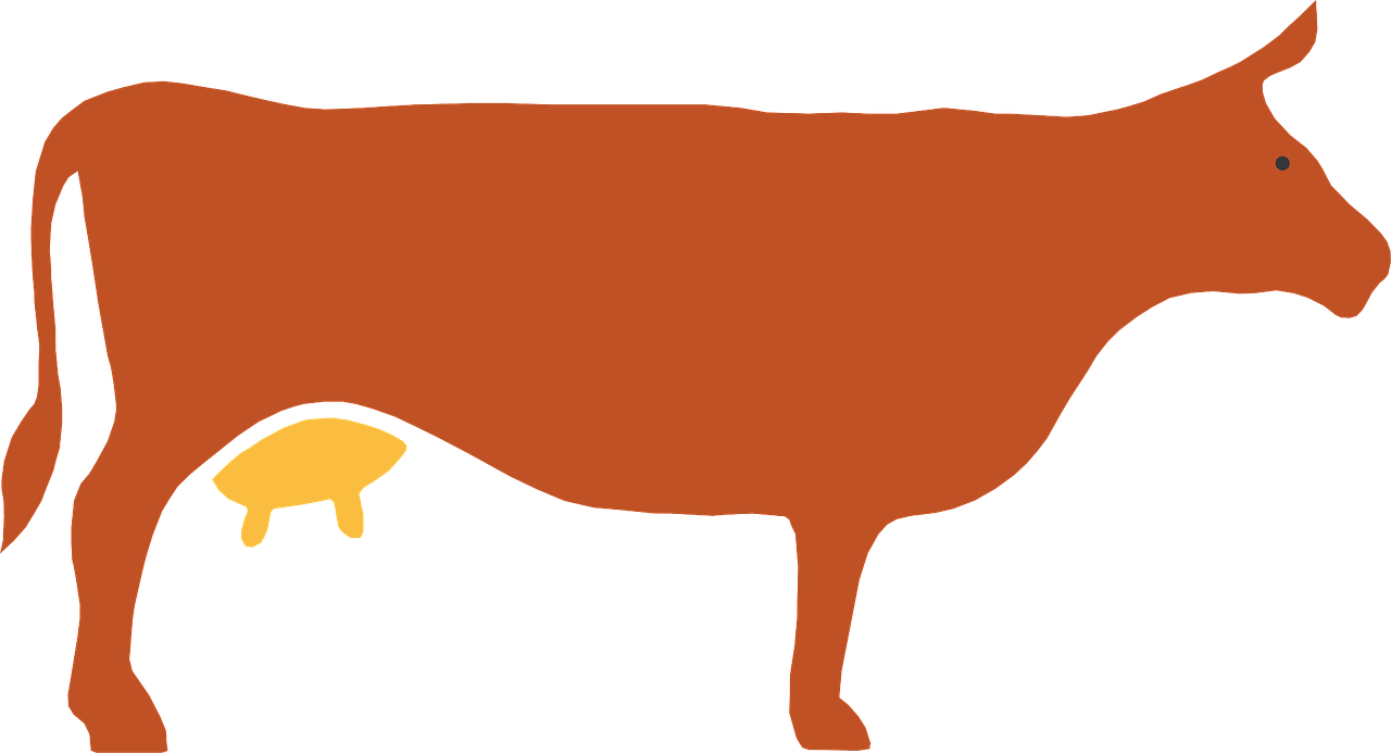 Cow Silhouette Livestock - Cow Silhouette (1280x693), Png Download