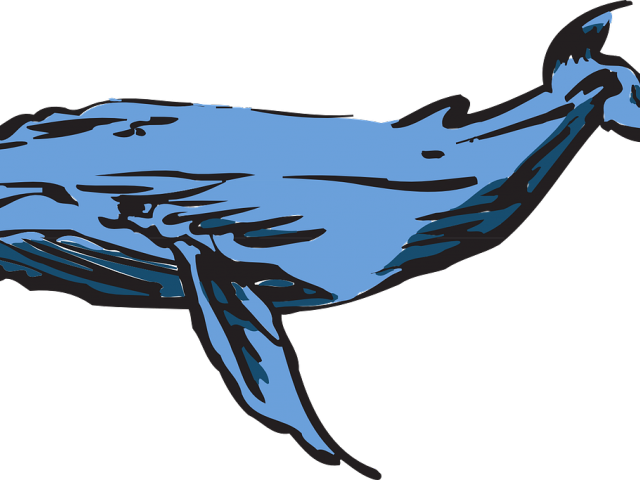 Humpback Whale Clipart Transparent - Whales (640x480), Png Download